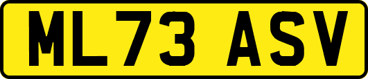 ML73ASV