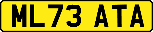 ML73ATA