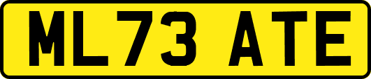 ML73ATE