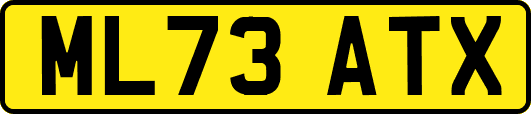 ML73ATX