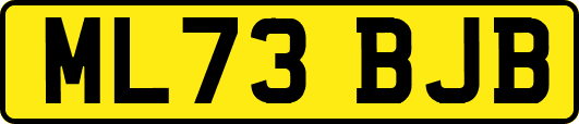 ML73BJB