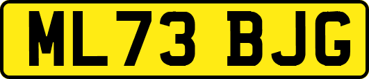ML73BJG