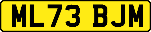 ML73BJM