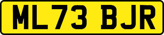 ML73BJR