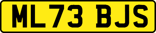 ML73BJS