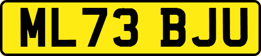 ML73BJU