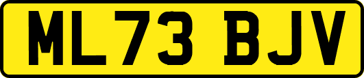 ML73BJV