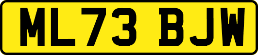 ML73BJW
