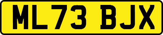 ML73BJX