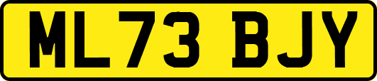 ML73BJY
