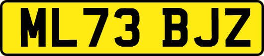 ML73BJZ