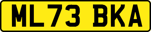 ML73BKA