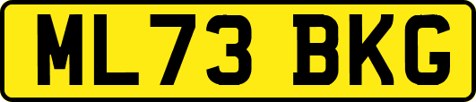 ML73BKG