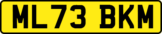 ML73BKM