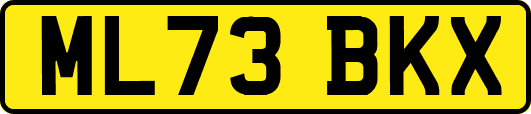 ML73BKX