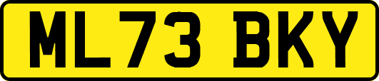 ML73BKY