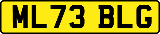 ML73BLG