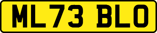 ML73BLO