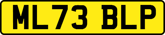 ML73BLP
