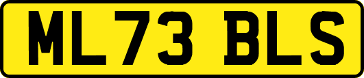 ML73BLS