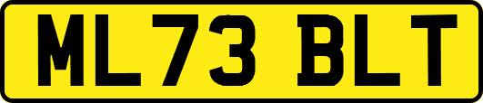 ML73BLT