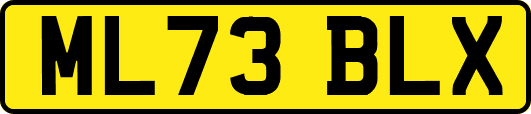 ML73BLX