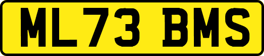 ML73BMS