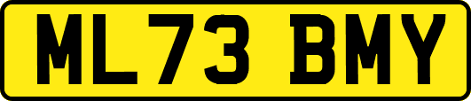 ML73BMY