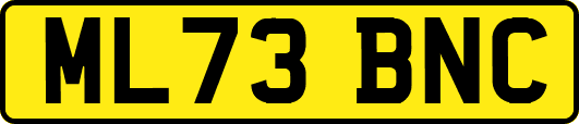 ML73BNC