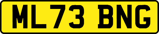 ML73BNG