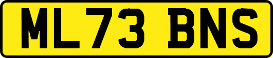 ML73BNS
