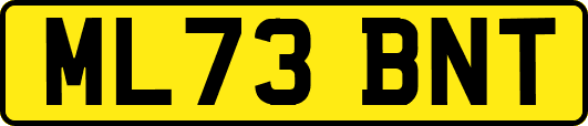ML73BNT