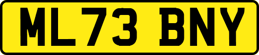 ML73BNY