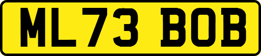 ML73BOB