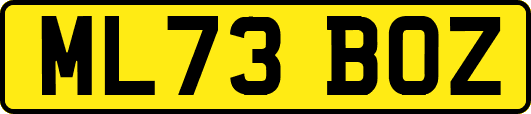 ML73BOZ