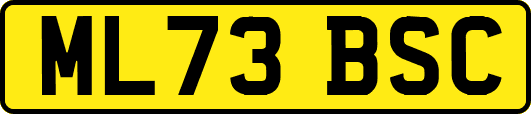 ML73BSC