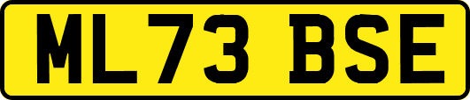 ML73BSE