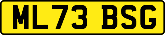 ML73BSG