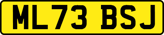 ML73BSJ