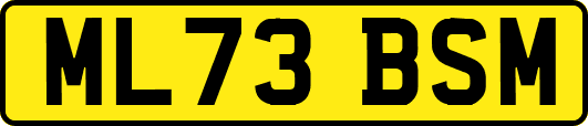 ML73BSM