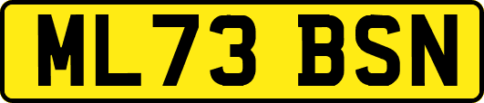 ML73BSN
