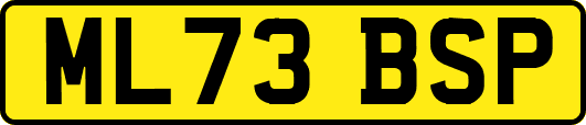ML73BSP
