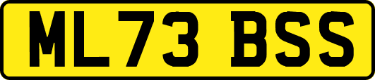 ML73BSS