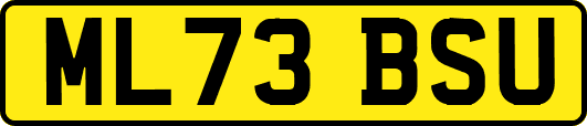 ML73BSU