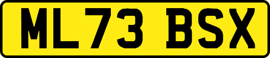 ML73BSX