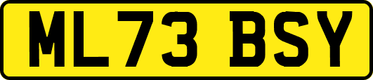 ML73BSY
