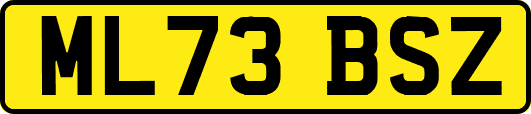 ML73BSZ