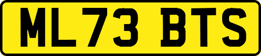 ML73BTS