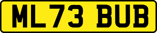 ML73BUB