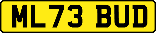 ML73BUD